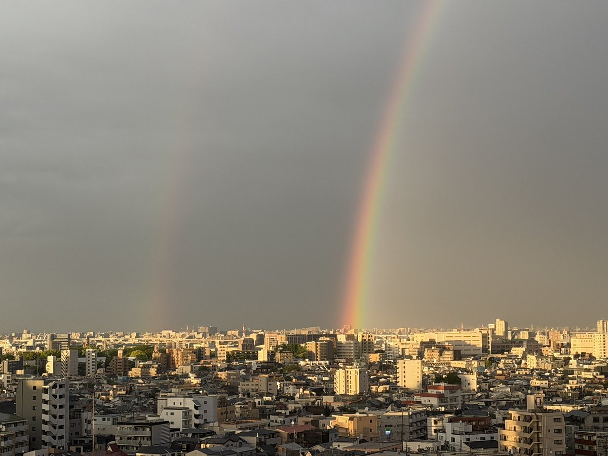 ガンダーラ鈴木 tweet media