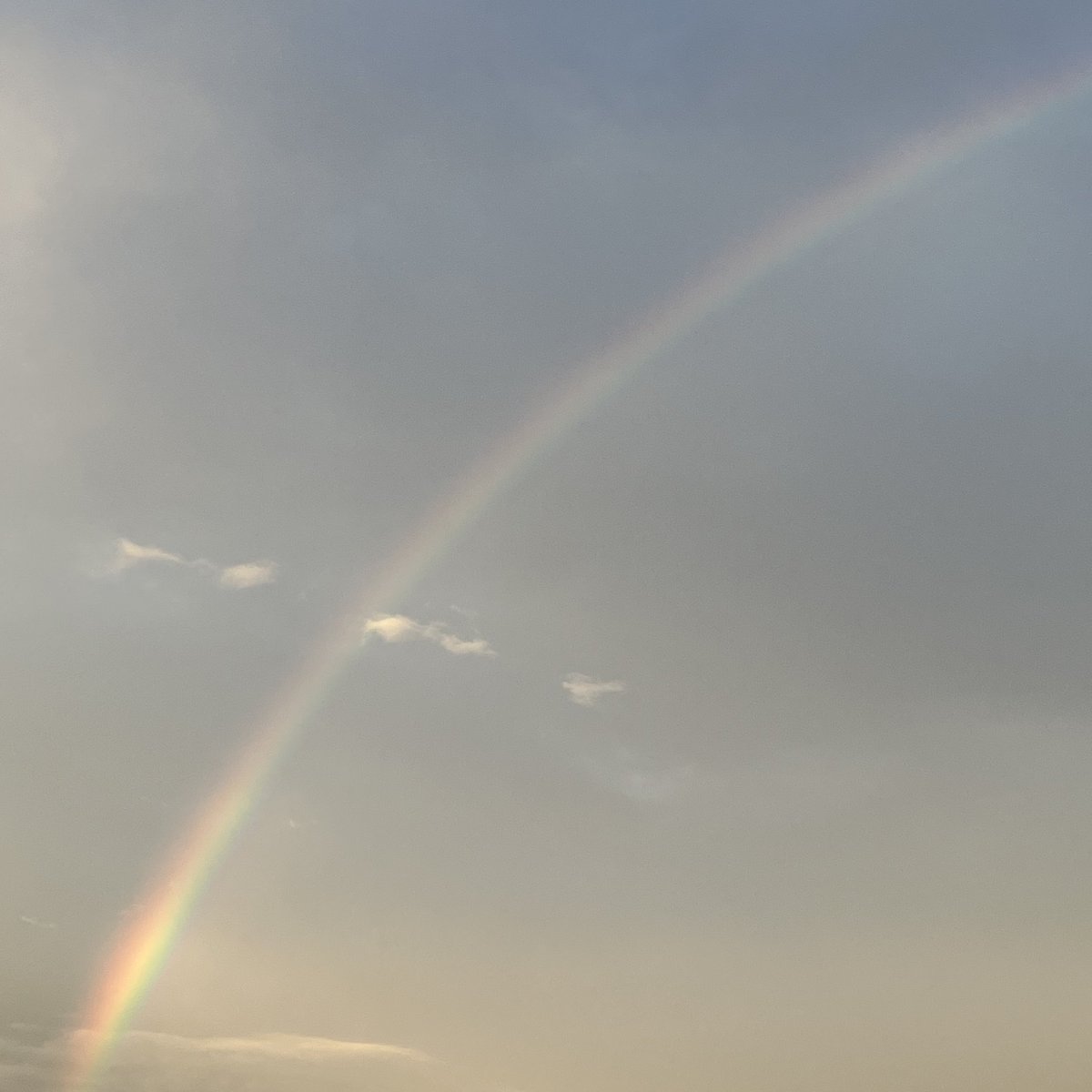 すりみ tweet media