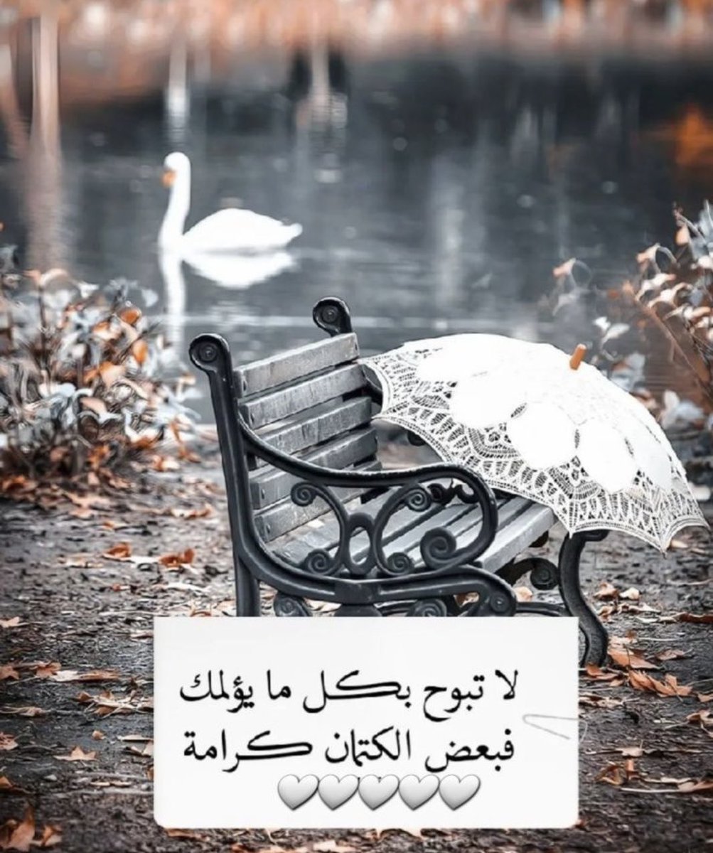 full_moon90's tweet photo. في الكتمان عزّة وفي الصمت حكمة فلا تُخبر العالم بكل ما يكسرك 🤍🌸🕊️

#رسالة_اليوم 
#مساء_الخير https://t.co/Wtwh9I8uML