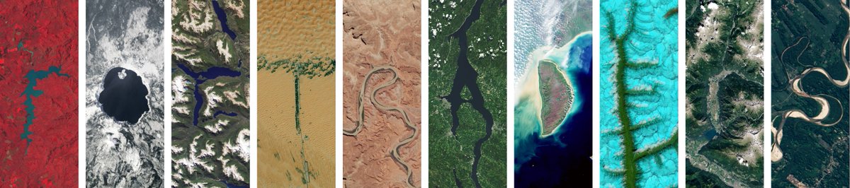 For Traders tweet media