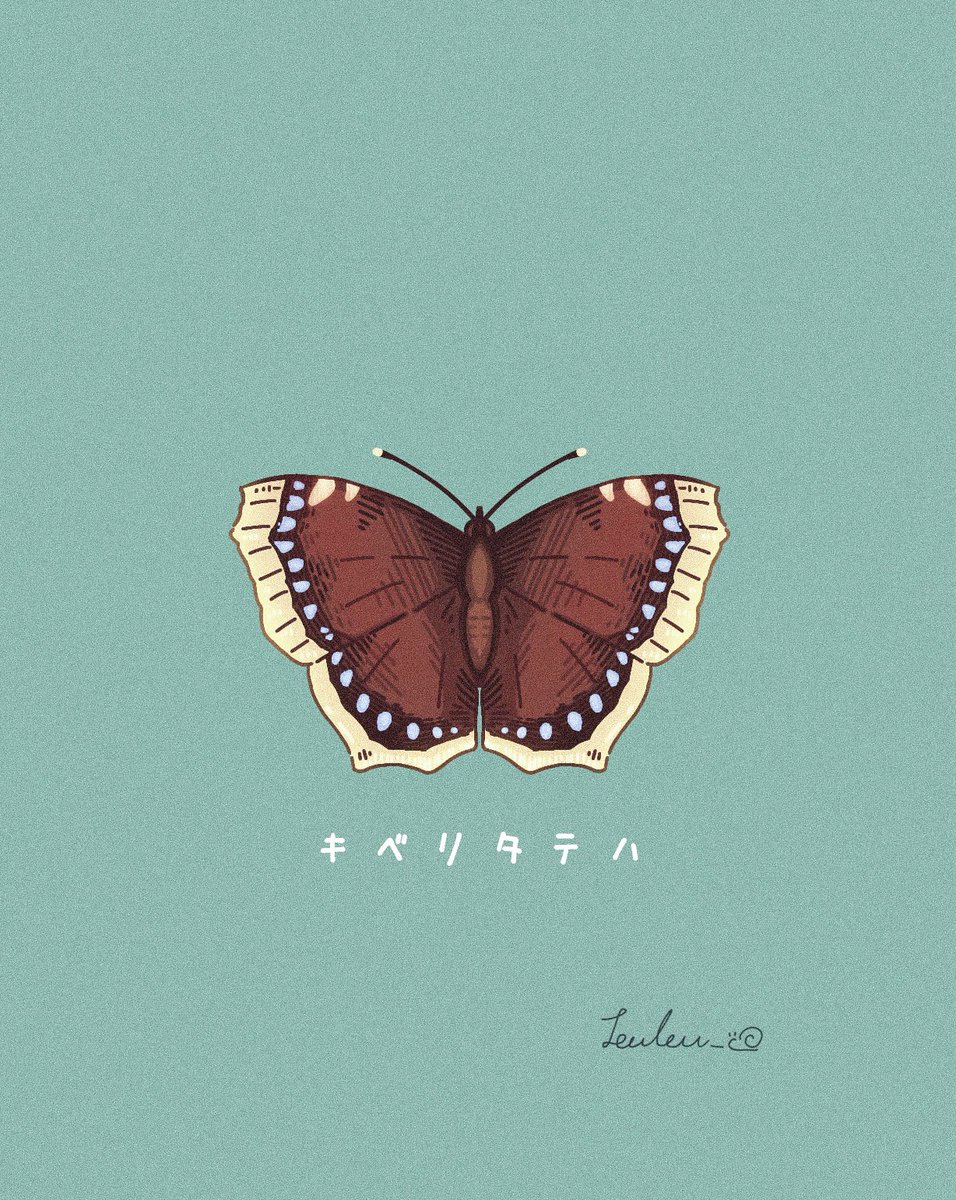 leuleu_co's tweet photo. キベリタテハを描きました🦋
 #キベリタテハ https://t.co/0sHrPX9lnT