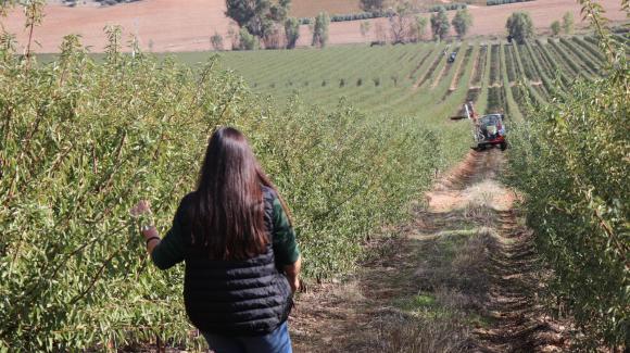COFIDES's tweet image. 🌱 Respaldamos la expansión de ISFA @financialagro, empresa española líder en proyectos de #AgriculturaSostenible.

COFIDES toma una participación minoritaria en su accionariado, con un compromiso de inversión de hasta 25 millones EUR, a través del Fondo de Coinversión #FOCO.