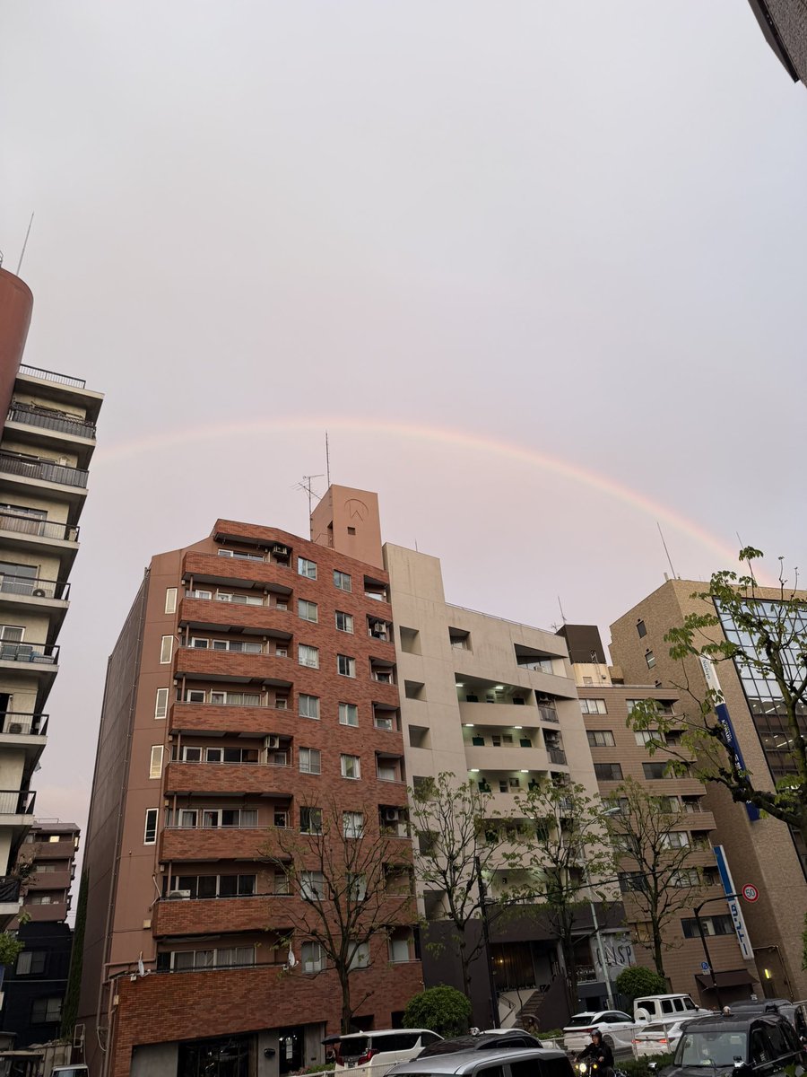 Takai pitoshi 放送作家（高井均） tweet media