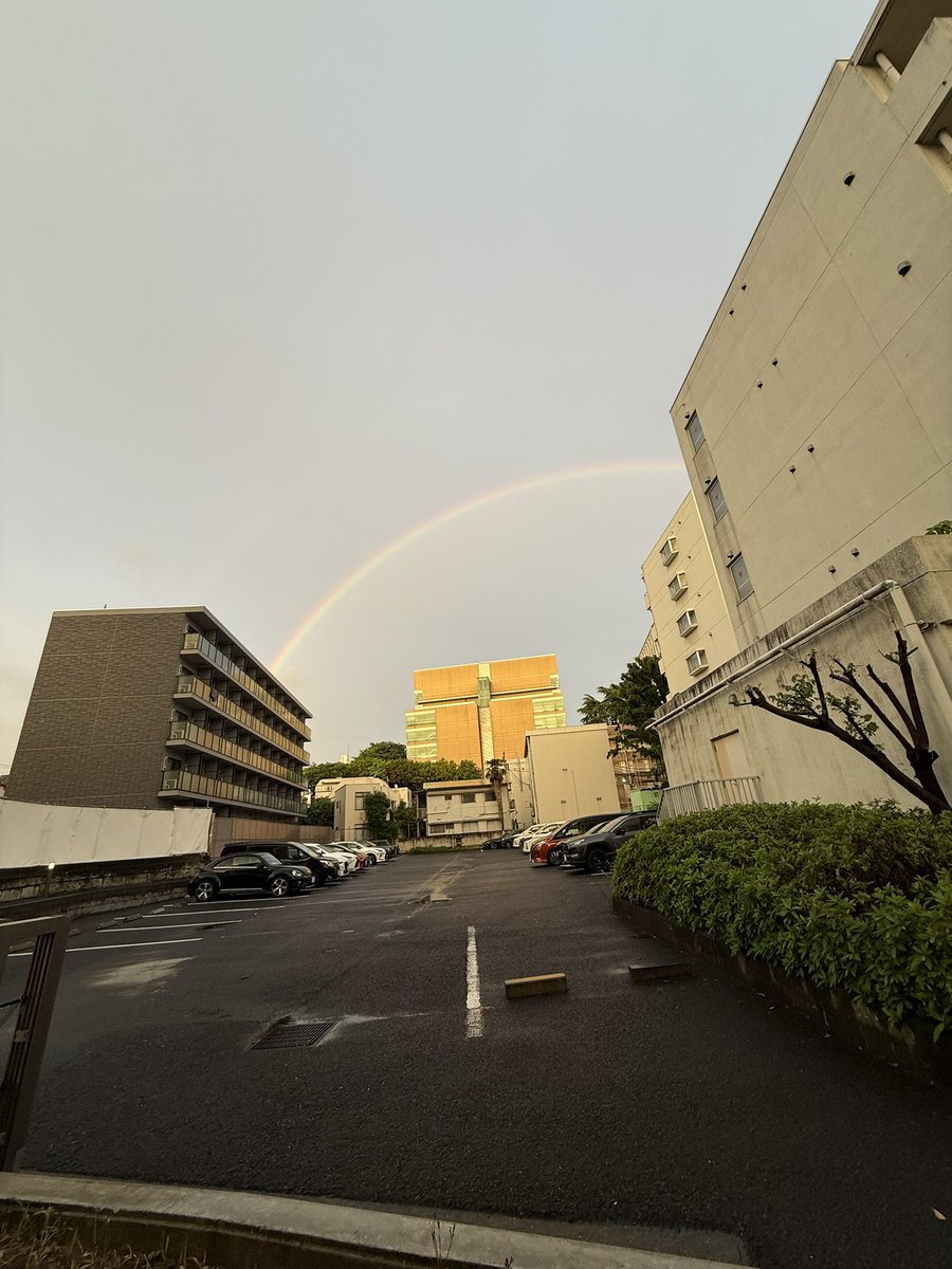 Takai pitoshi 放送作家（高井均） tweet media