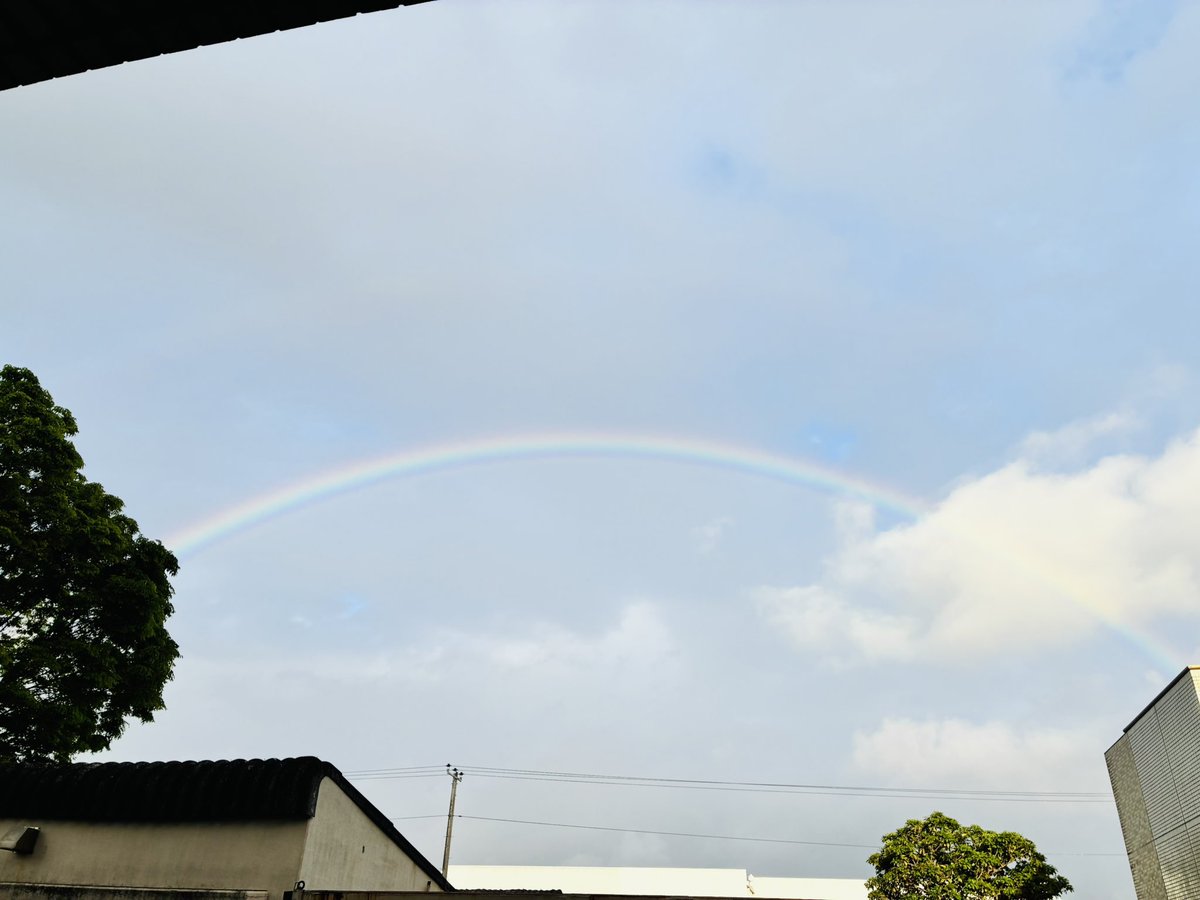 MI40445903's tweet photo. @setagaya_aps おや、先生のところも！
こちらもでした。よく見るとダブルレインボー🌈🌈 https://t.co/YsdXBgTjOU