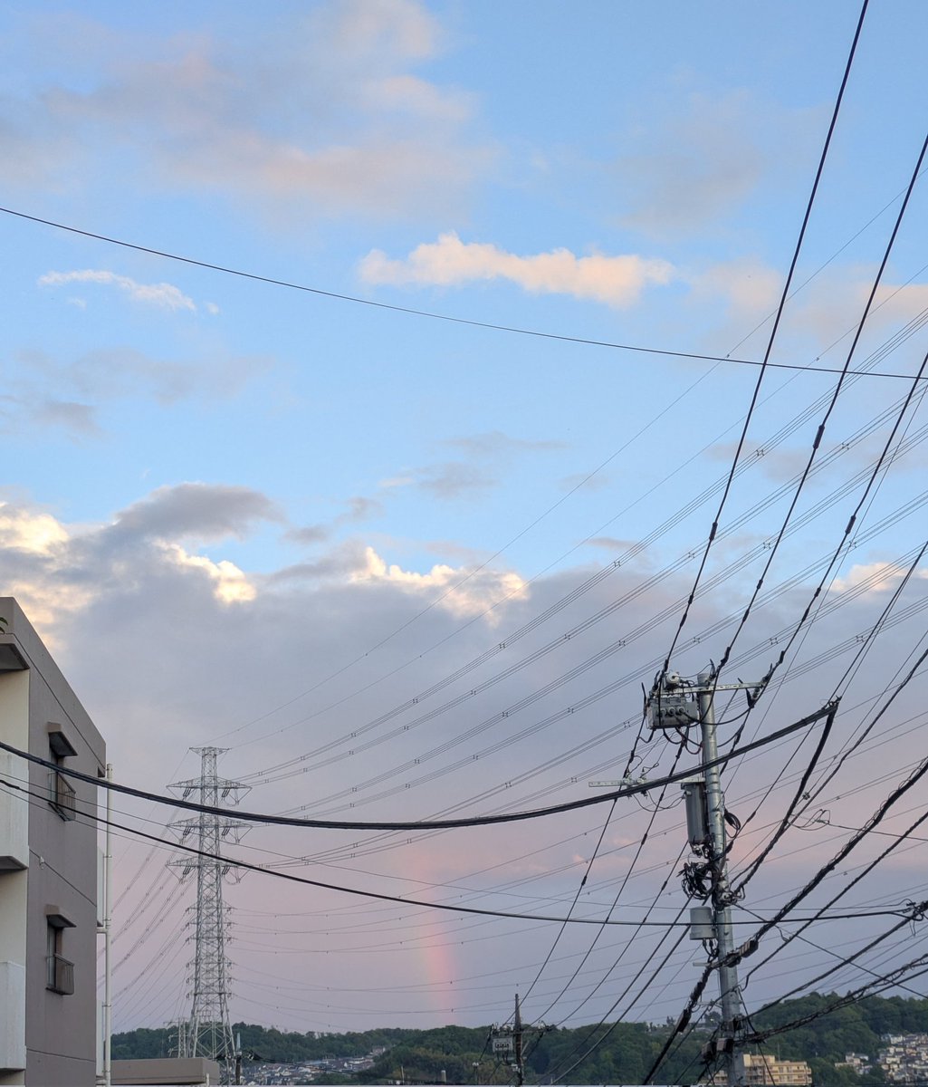 はるか しろん🍓🥟 tweet media