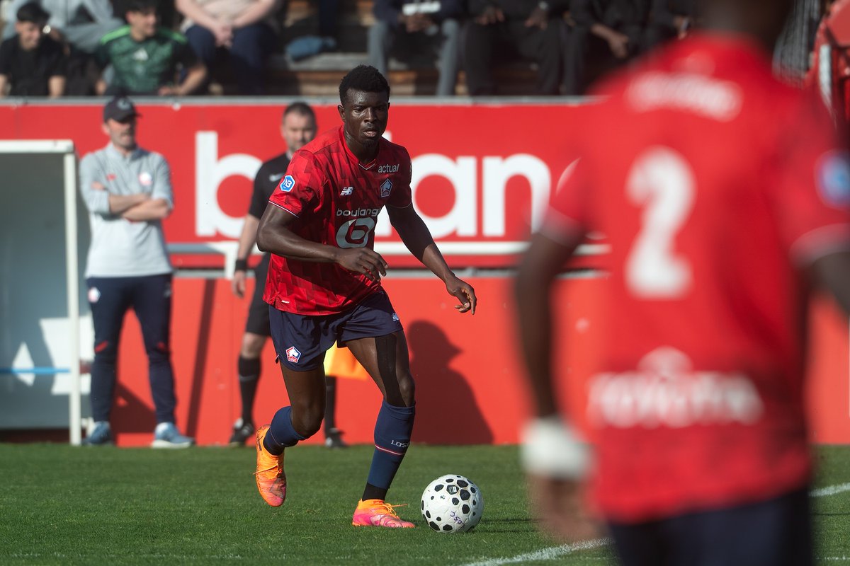 LOSC Academy tweet media