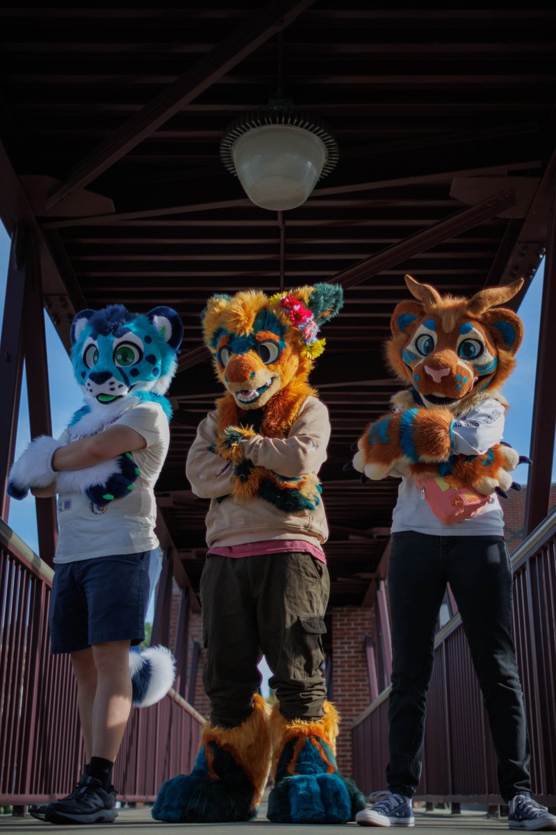 Oasis Cheeto 🔜 FWA, TFS, MP tweet media