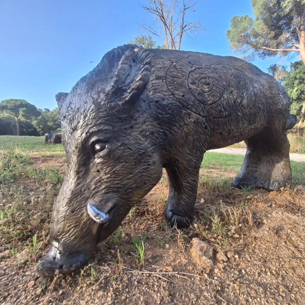 TornasolEvents's tweet image. New amazing teambuilding for your corporate group

#Motivation #TeamBuilding #teambonding #Motivacion #costabrava