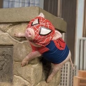 . 𝒋𝒂𝒎² tweet media