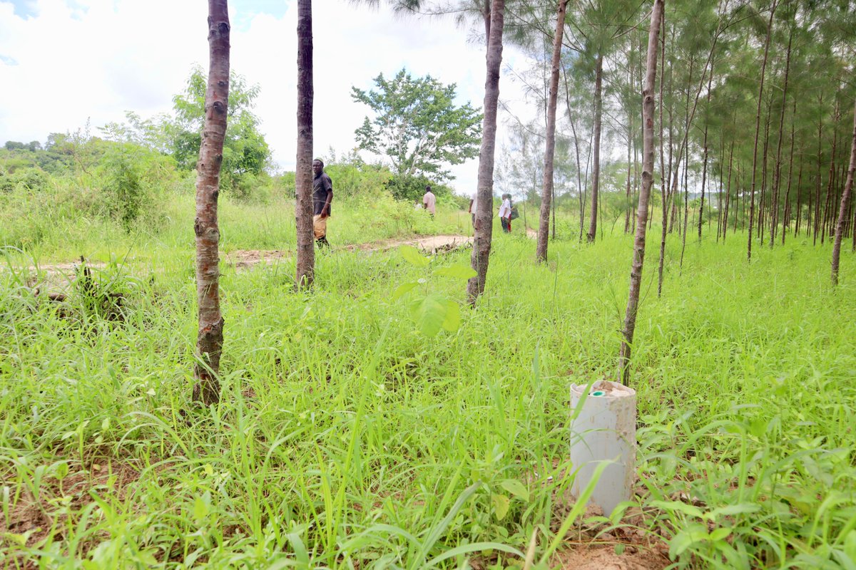 Human Rights Agenda (HURIA) tweet media