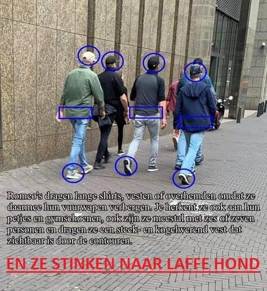 Freedom Is Not For Sale💫💜🇳🇱 tweet media