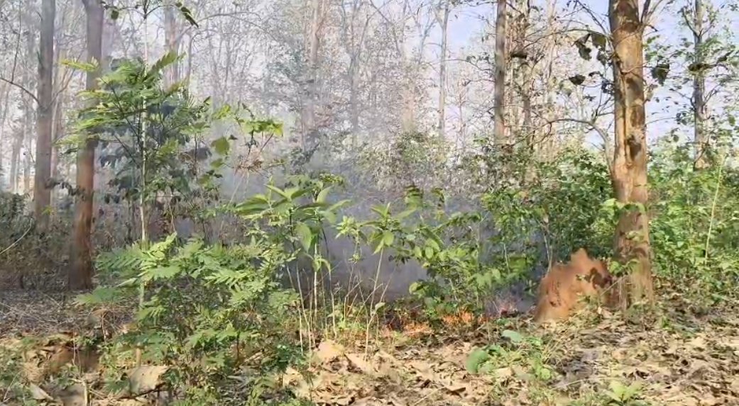 ArgusNews_in's tweet image. #ଜଳୁଛି_ବାଲିମେଳା_ଘାଟି_ଜଙ୍ଗଲ
ଚିତ୍ରକୋଣ୍ଡା: ବାଲିମେଳା ଘାଟି ଜଙ୍ଗଲରେରେ ଲାଗିଲା ନିଆଁ
ଜଙ୍ଗଲର ଚାରିଆଡେ ଲାଗିଛି ନିଆଁ, ଜଳିଗଲାଣି ବହୁ ଗଛ
ଚିତ୍ରକୋଣ୍ଡା ଥାନା ନିକଟରେ ଜଙ୍ଗଲରେ ମଧ୍ୟ ଲାଗିଛି ନିଆଁ
#Malkangiri #Chitrakonda #ForestFire #ArgusNews