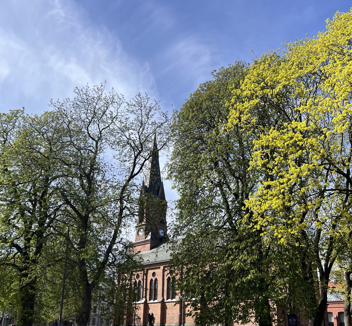 ShahidMAskerN's tweet image. Wish you a wonderful day 
#oslo #Norway