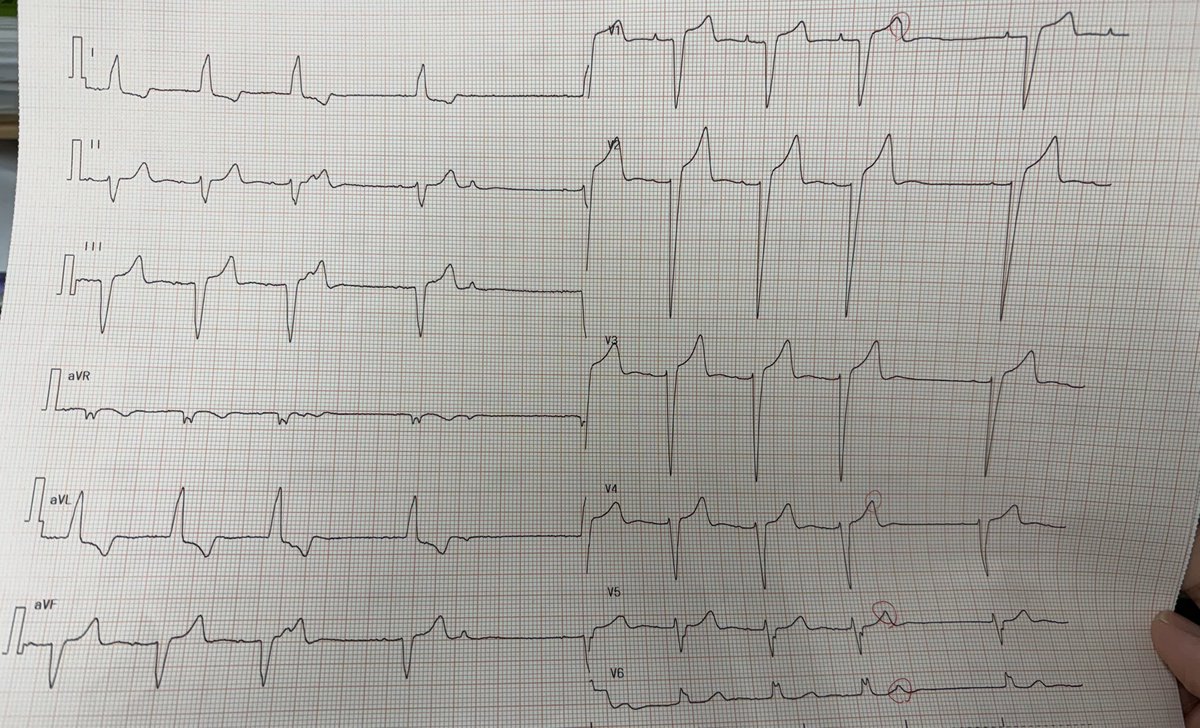 『せーや』 tweet media
