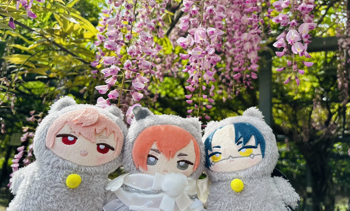 ぬ〜どる tweet media