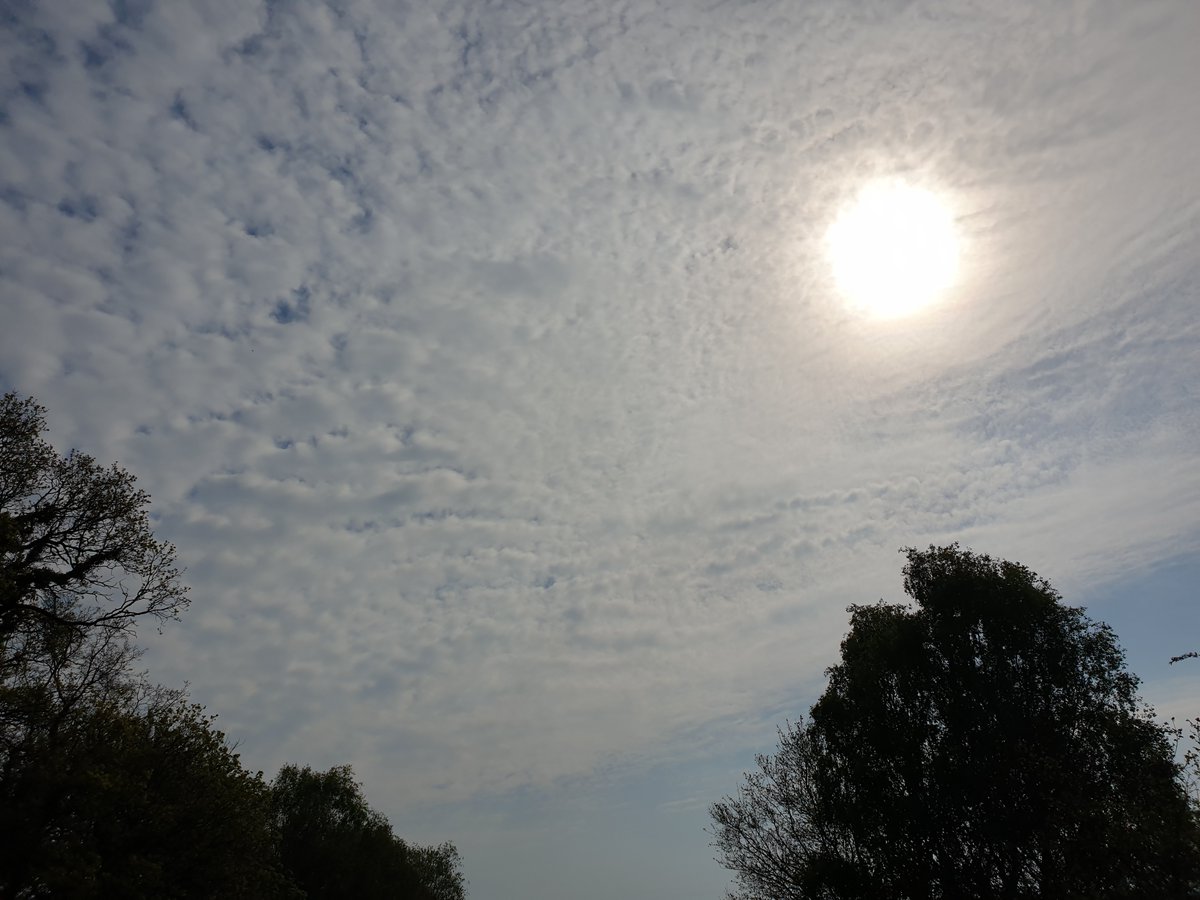 Para9871's tweet image. Today's #Geoengineering blocking the power of the Sun and making it cold.
#ClimateScam
#GlobalistScum