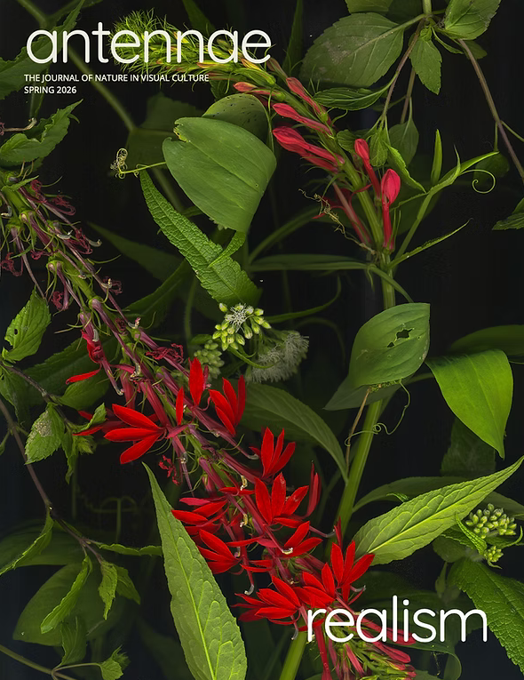 The Plant Initiative tweet media