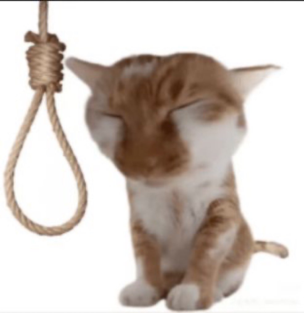 acordei cedo demais nao consegui dormir dnv e vim pra academia