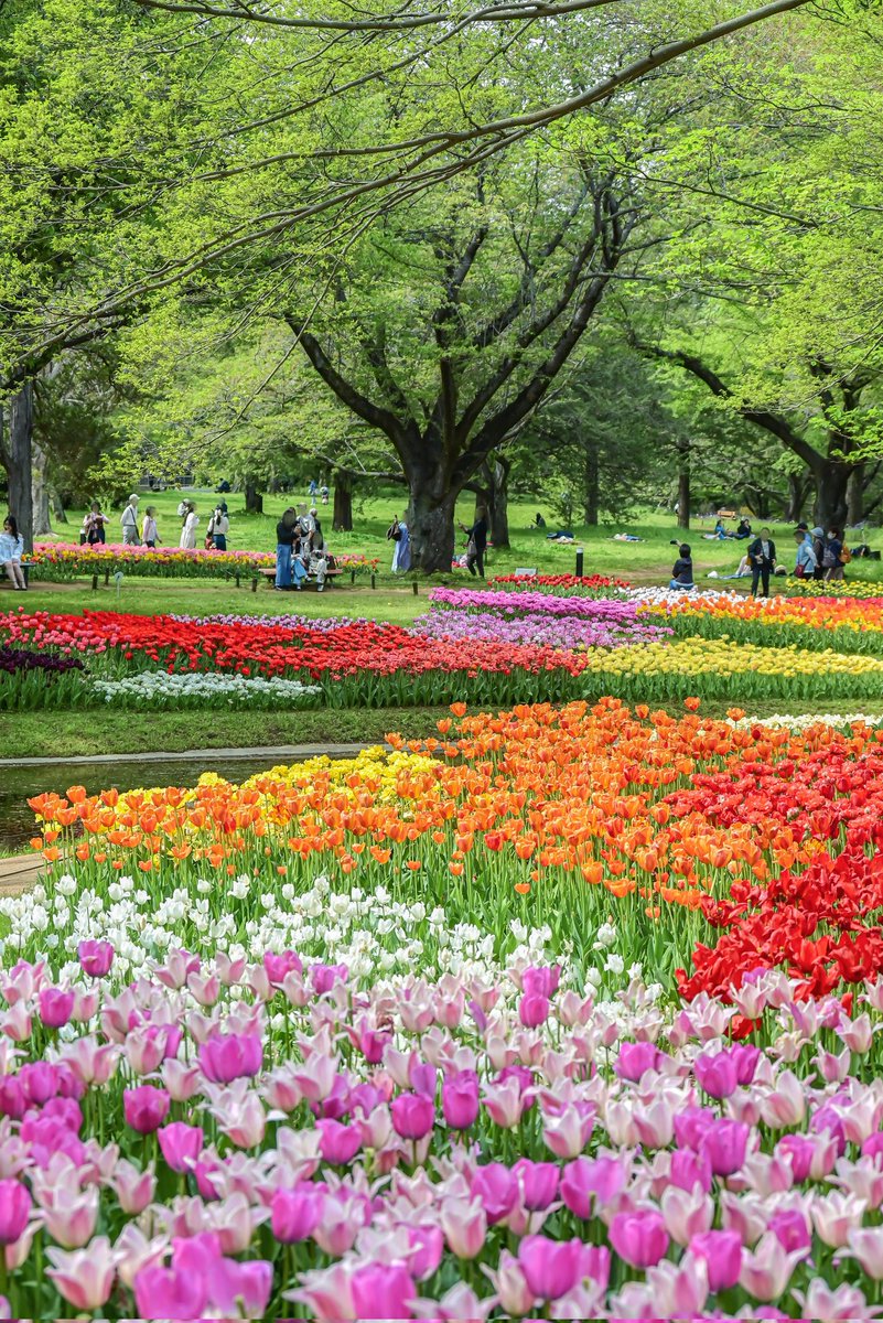 花の楽園。
