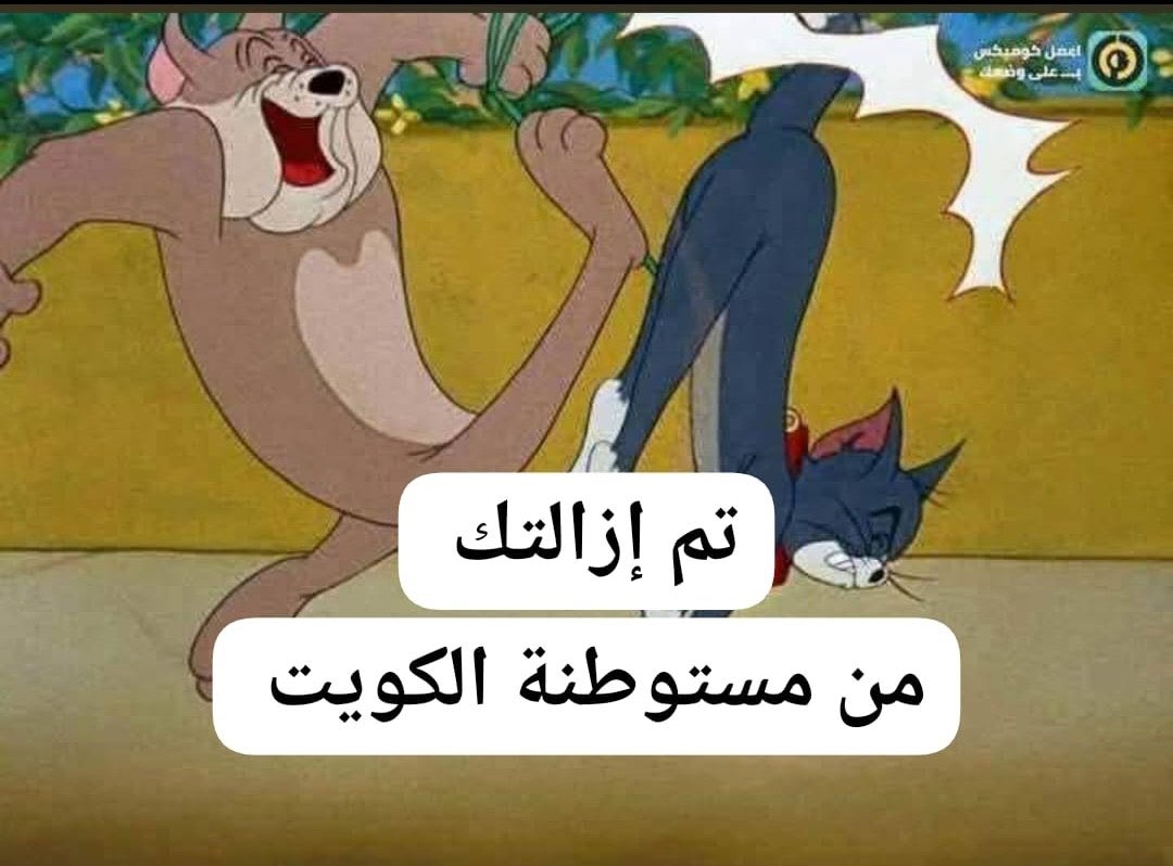 عـلي الرضـا🇮🇶 tweet media