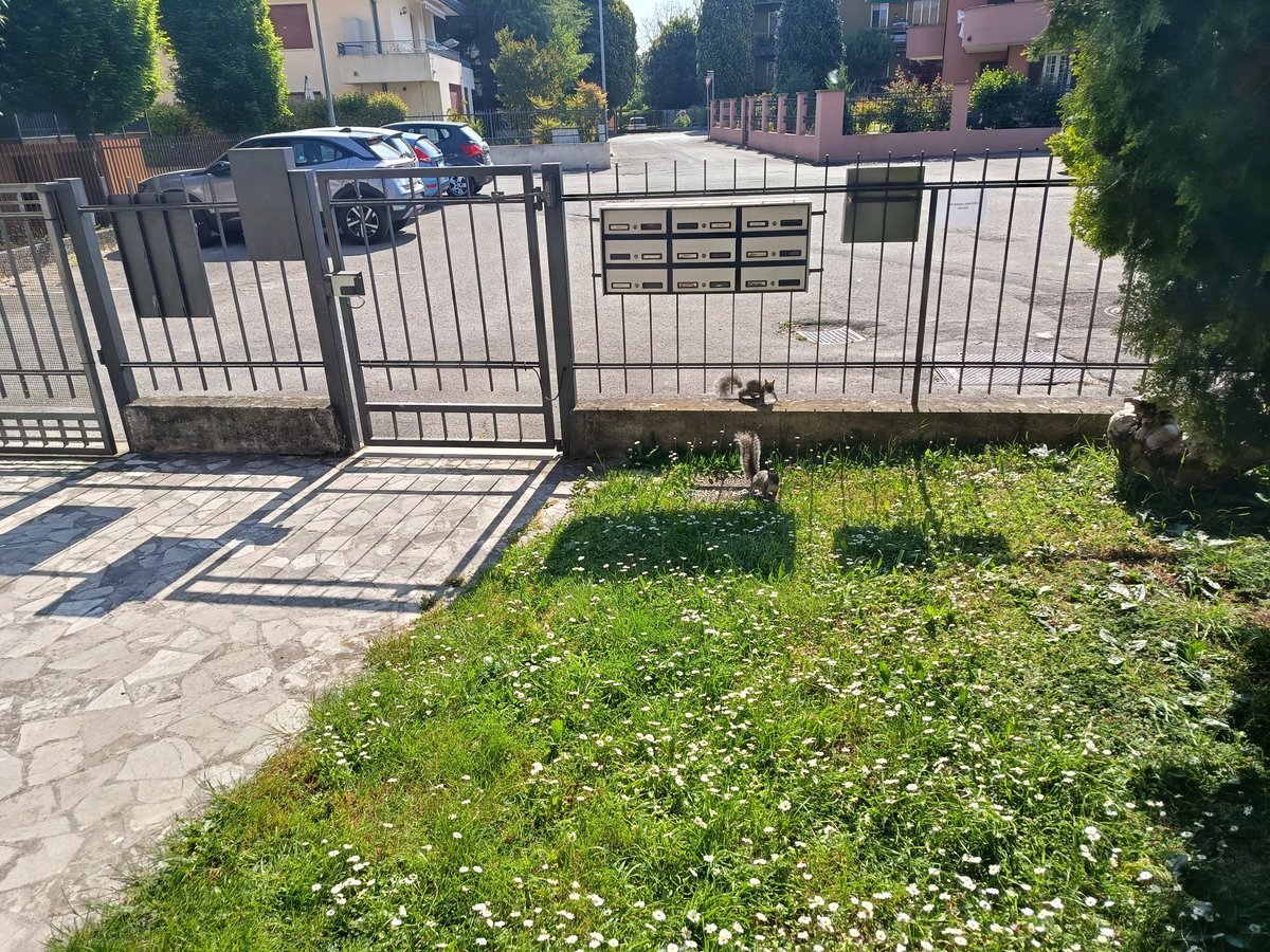 Domy Cek tweet media