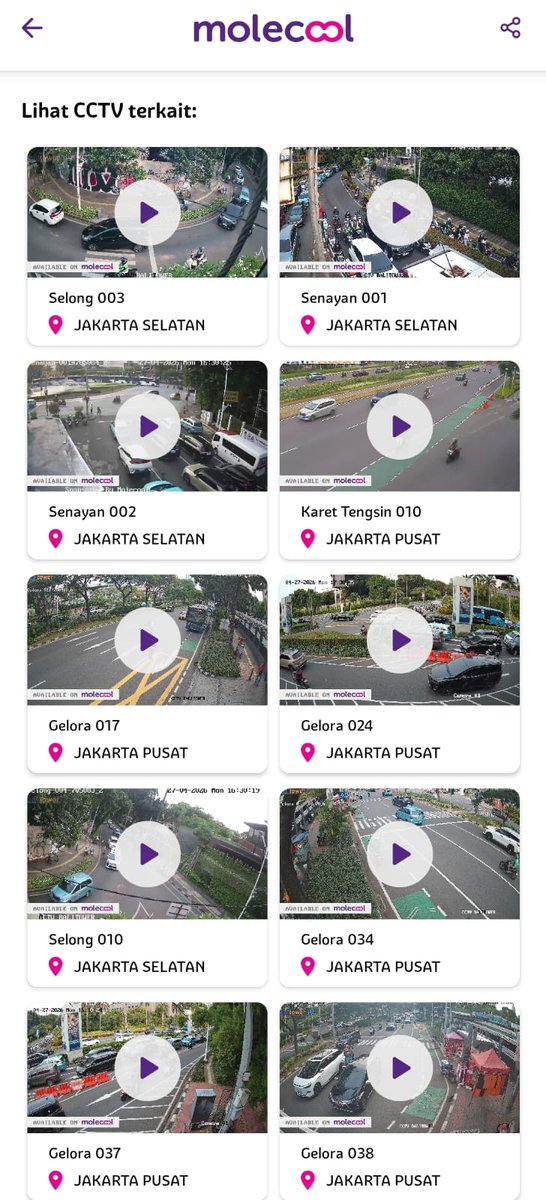 Molecool tweet media