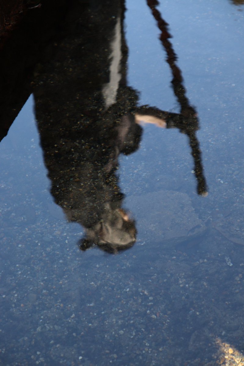 ｵﾁﾞｻﾝ tweet media