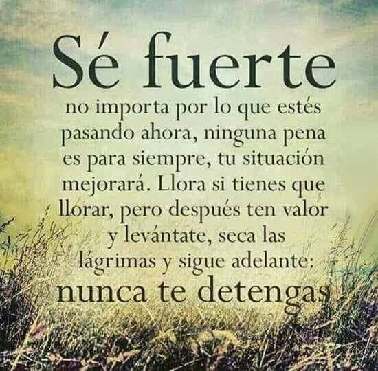 Fundacion Marambio tweet media
