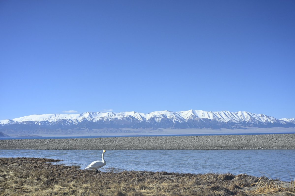 Maddfraky's tweet image. There is such a pure landscape in the northwest of China.Where the farthest place Atlantic moisture can reach.
#View #Chinatravel #Blue