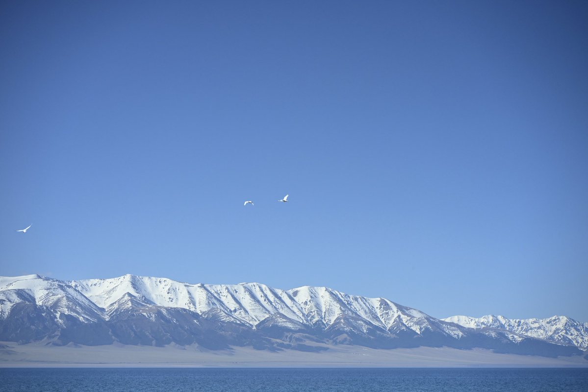 Maddfraky's tweet image. There is such a pure landscape in the northwest of China.Where the farthest place Atlantic moisture can reach.
#View #Chinatravel #Blue