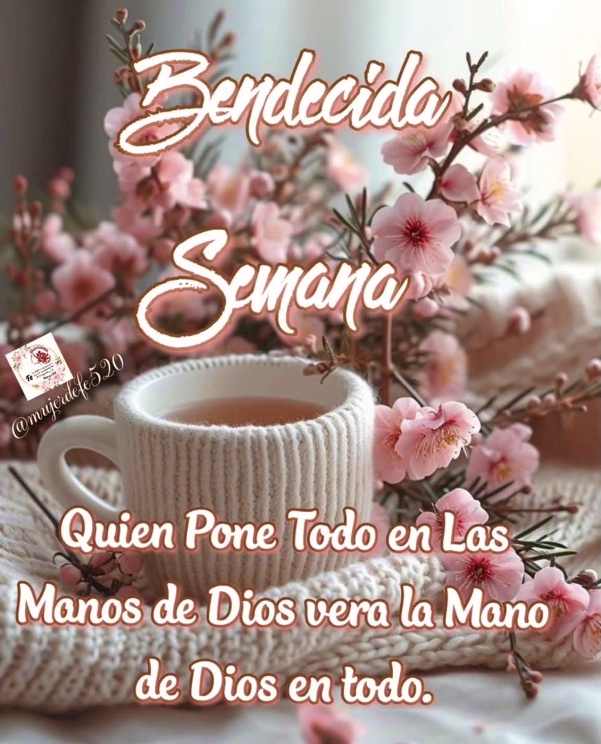 DanielHerr76204's tweet image. #GoodMorning Hola hola buenos cómo estás que Dices me ayudas a darle Gracias a Dios y así tu Semana será Excelente y bendiciones, padre Gracias te damos y pedimos tu bendición en esta Semana Amén. #FelizLunes #Bendiciones #Happymoday #Blessings..