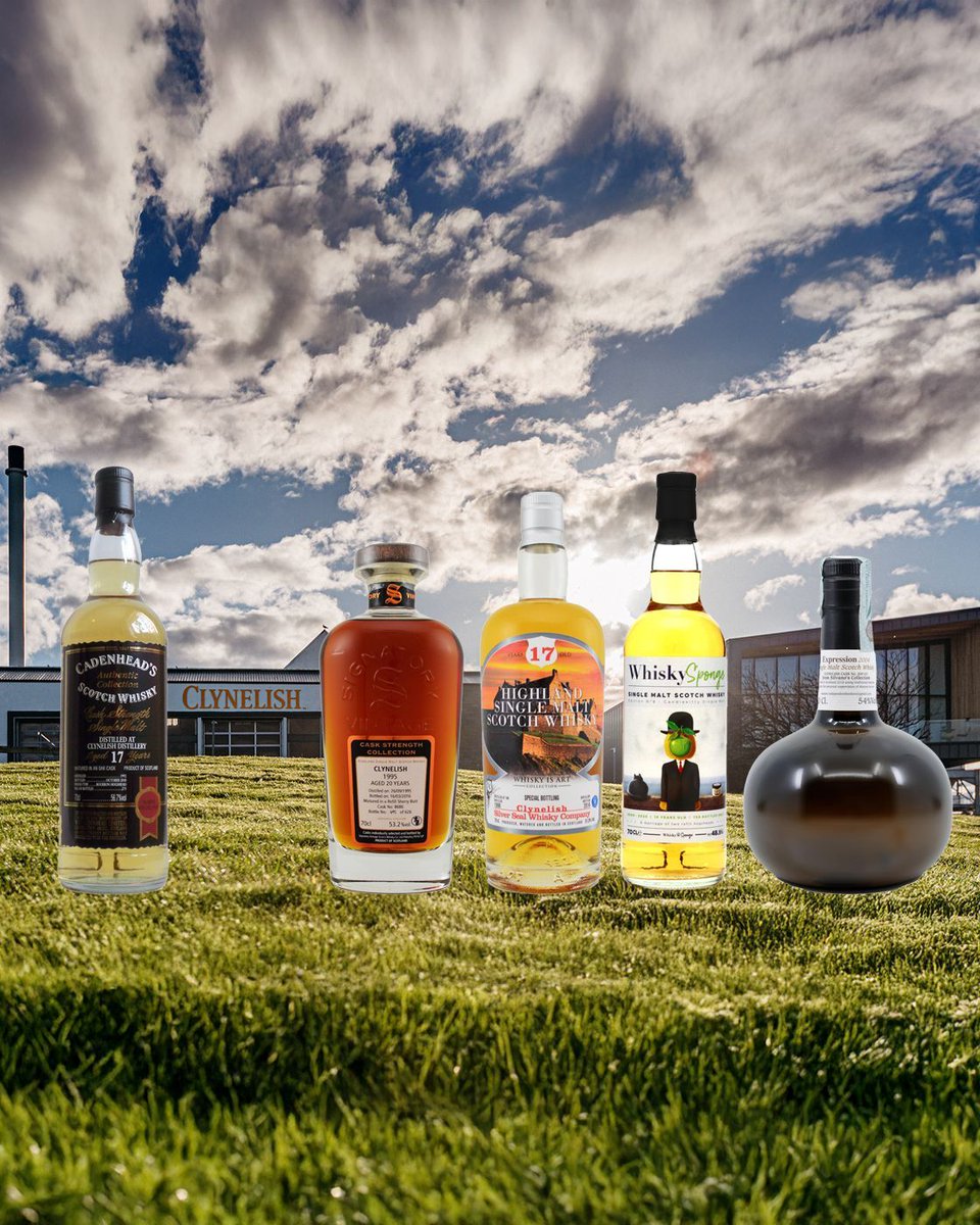 Coldorak 🥃 tweet media