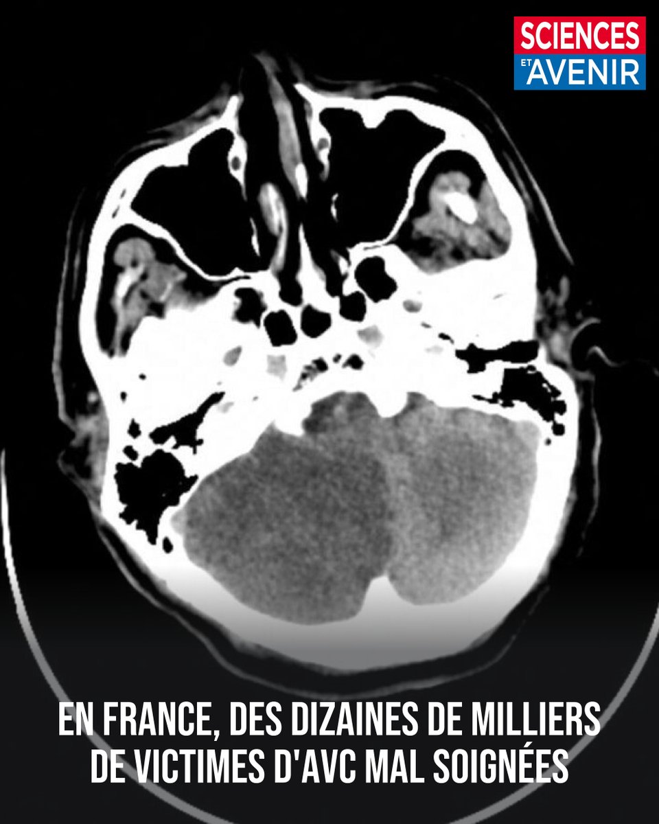 Sciences_Avenir tweet picture