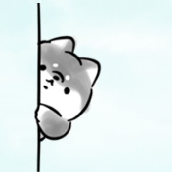 ひさき🎣 tweet media