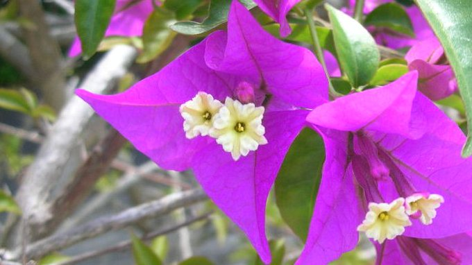 tanosiisupi_bot's tweet image. ・日々やっている事
・持てるエネルギー

両者の合致率＝幸福度
立場・所有物‥他の如何なる要素でも代替は不可能。

筋道は非常にシンプルですが、勇気は要りますね。
賛同者も型も成算も何もないまま、ただ魂の声に従うのだから。

「誤魔化しに飽きたらず」
ならばリスクテイク。
#courage #勇気