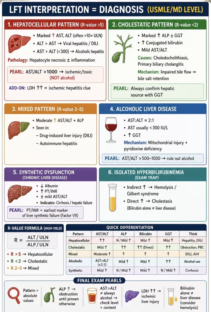 pgMedicine's tweet photo. Liver function tests interpretation https://t.co/vPhluOF15D