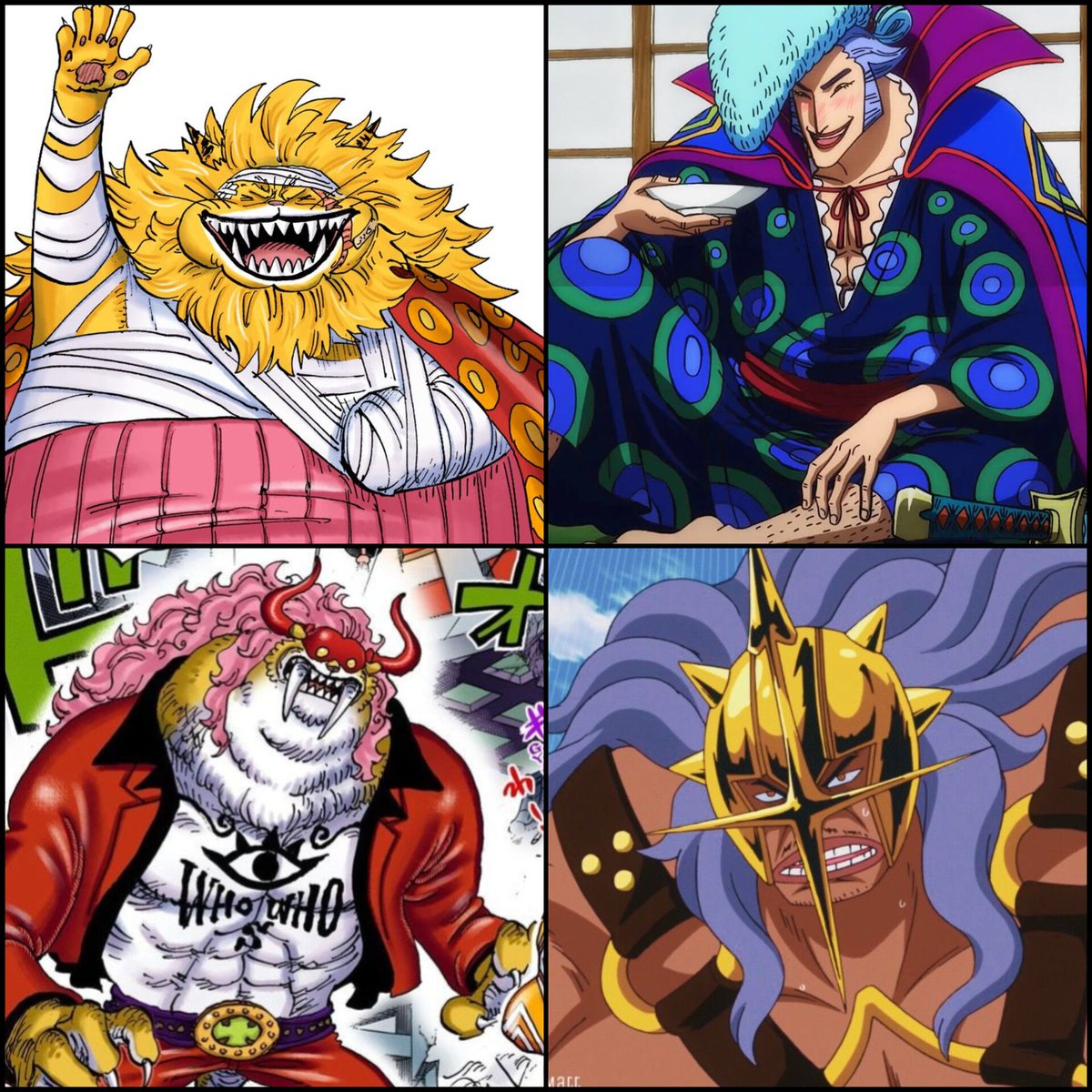 SHANKS tweet media