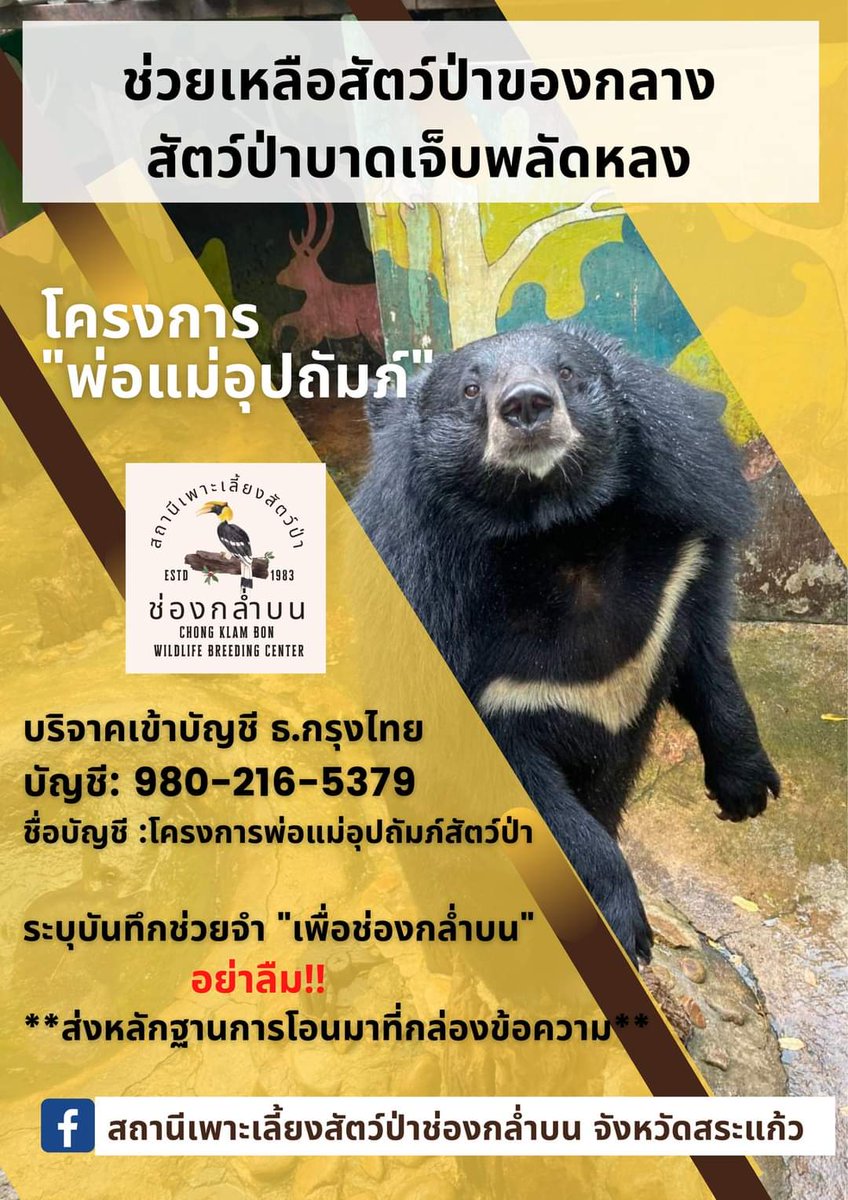 ต้องมนต์ tweet media