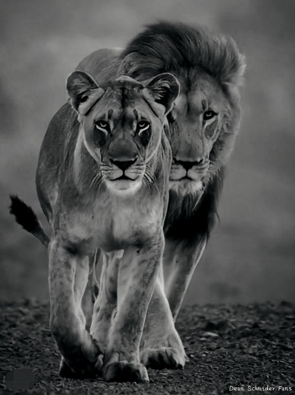 ϮOɾΊ 🫪 tweet media