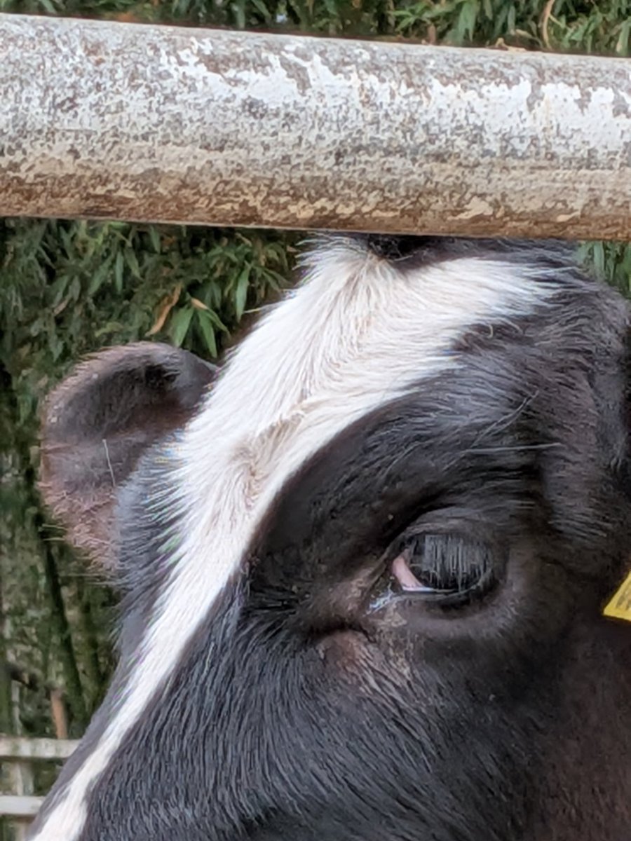 くう間もん tweet media