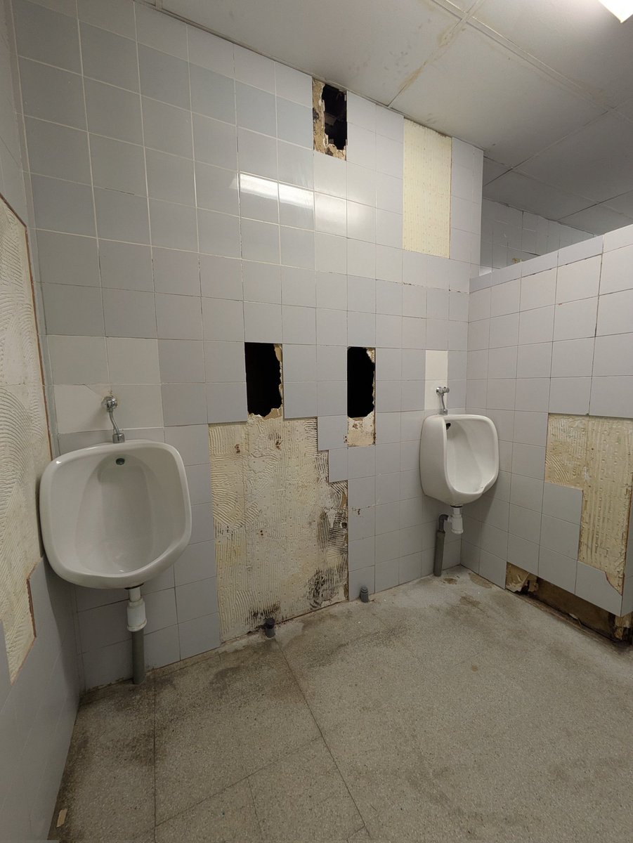 miau marramiau miaumiau tweet media