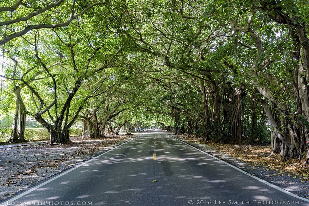 champ 💫 tweet media