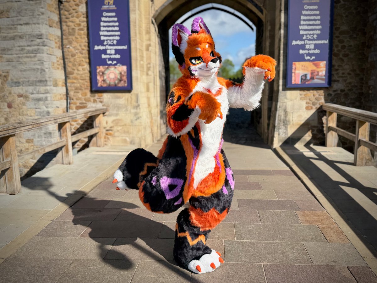 Rennie 🔜 CfZ tweet media