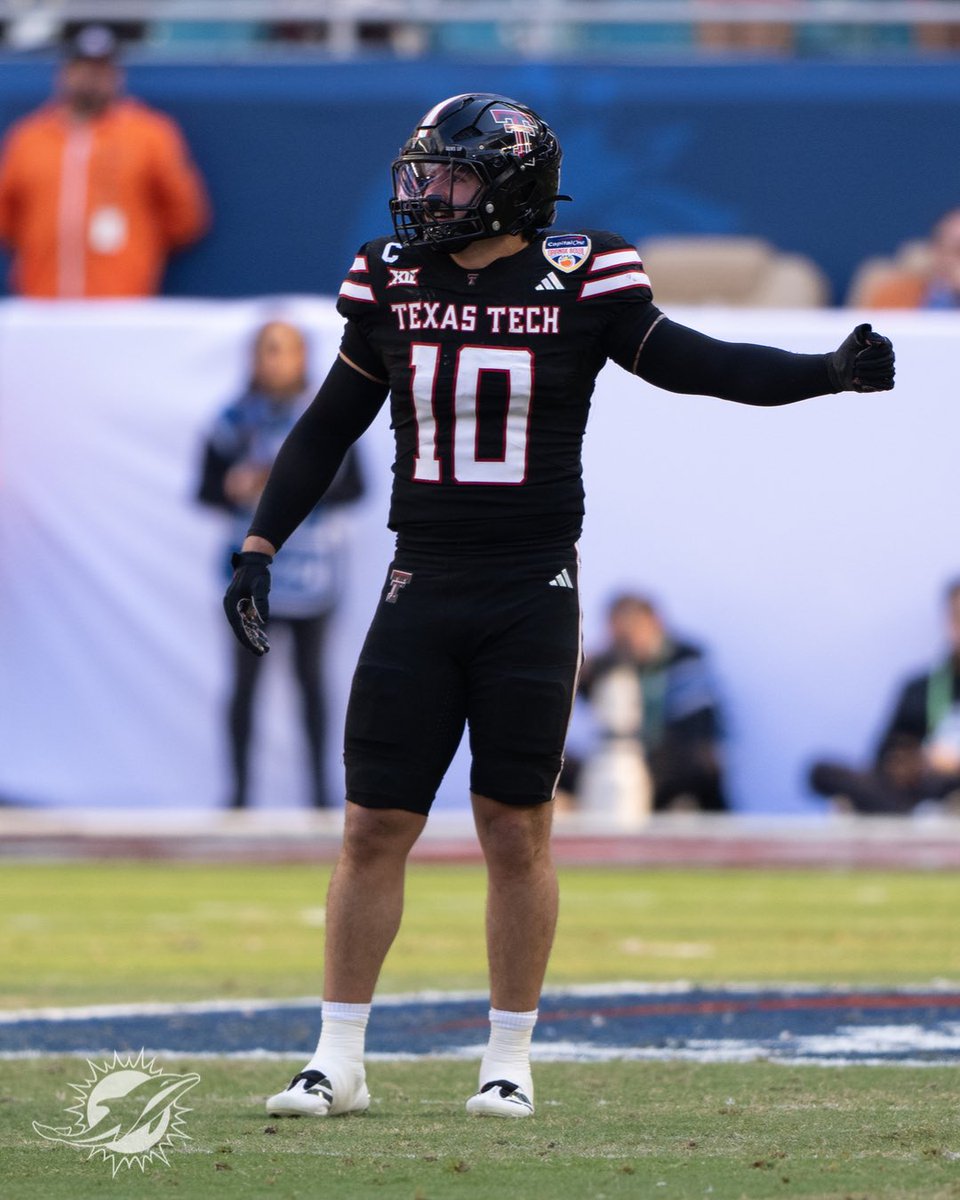 Dolphins en Español tweet media