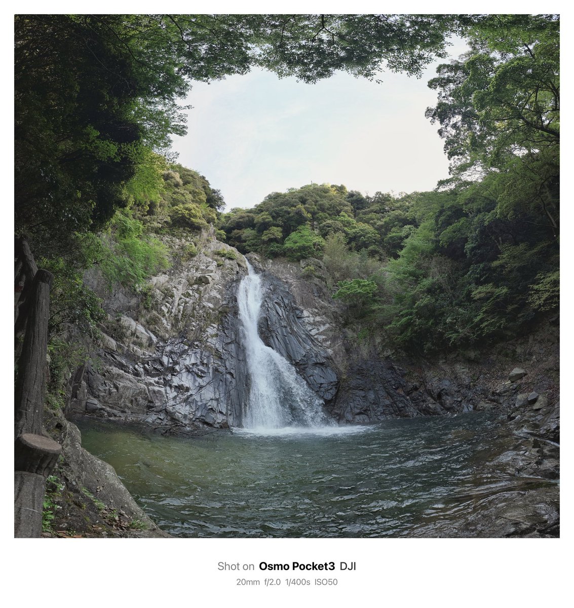 simakoo1's tweet image. #OsmoPocket3 は動画だけじゃない。
パノラマ撮影機能も面白くて、
4,000×3,840 のこんな写真も撮れる📸
#布引の滝