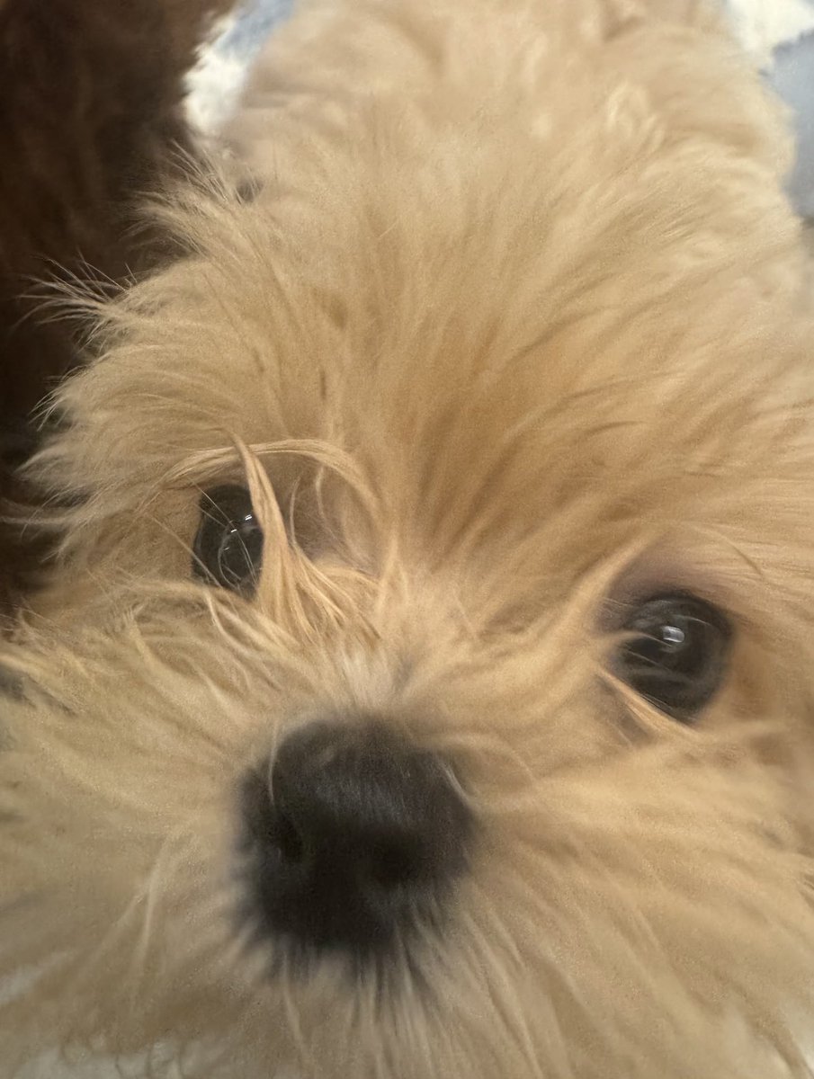 JIANGLI奖励 GLOBAL FANBASE tweet media