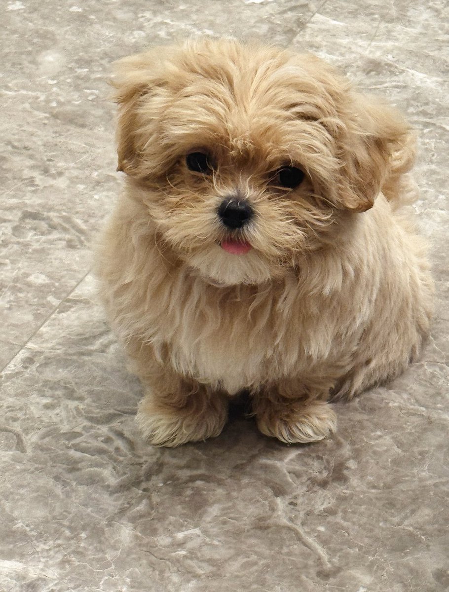 JIANGLI奖励 GLOBAL FANBASE tweet media