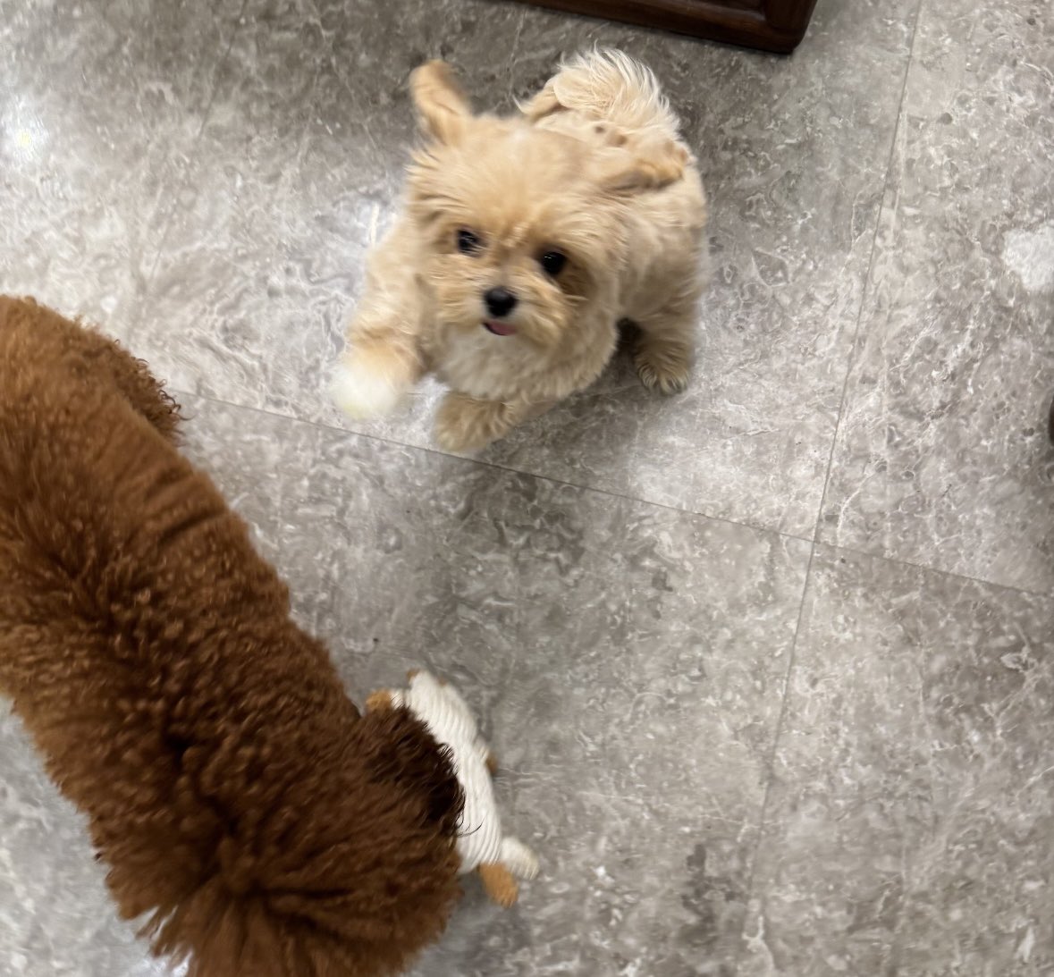 JIANGLI奖励 GLOBAL FANBASE tweet media