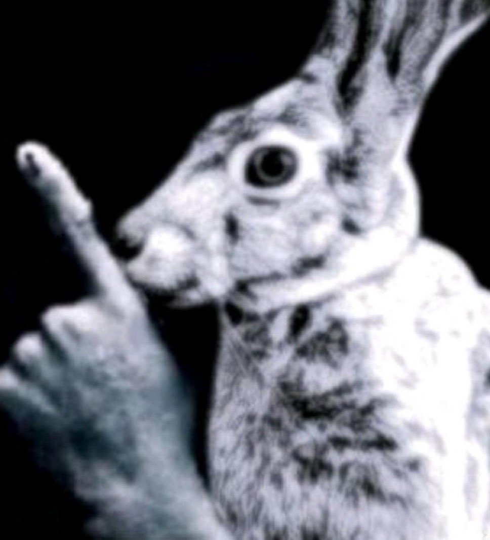 Mark to Ingrid when she saw the bomb